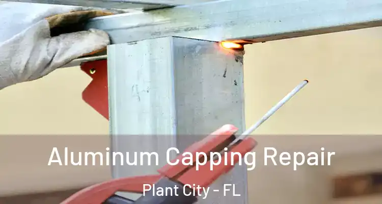  Aluminum Capping Repair Plant City - FL