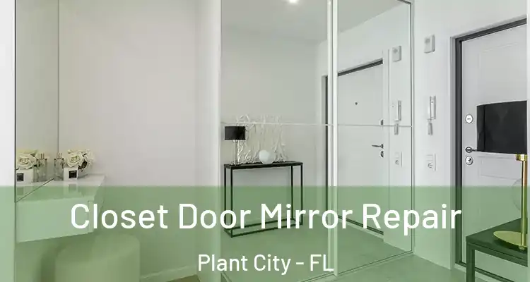  Closet Door Mirror Repair Plant City - FL