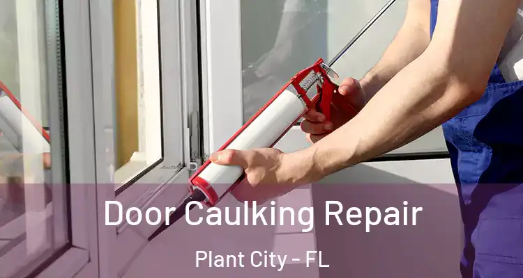  Door Caulking Repair Plant City - FL