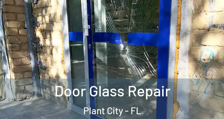 Door Glass Repair Plant City - FL