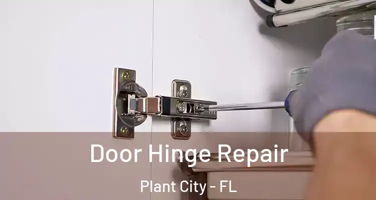  Door Hinge Repair Plant City - FL