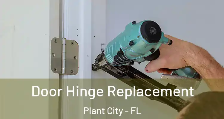  Door Hinge Replacement Plant City - FL