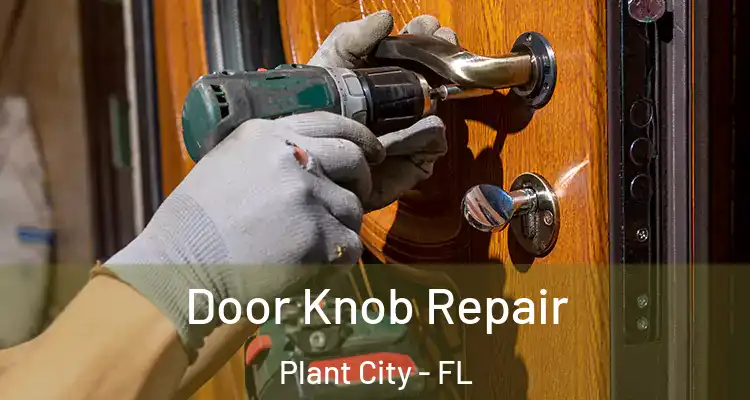  Door Knob Repair Plant City - FL