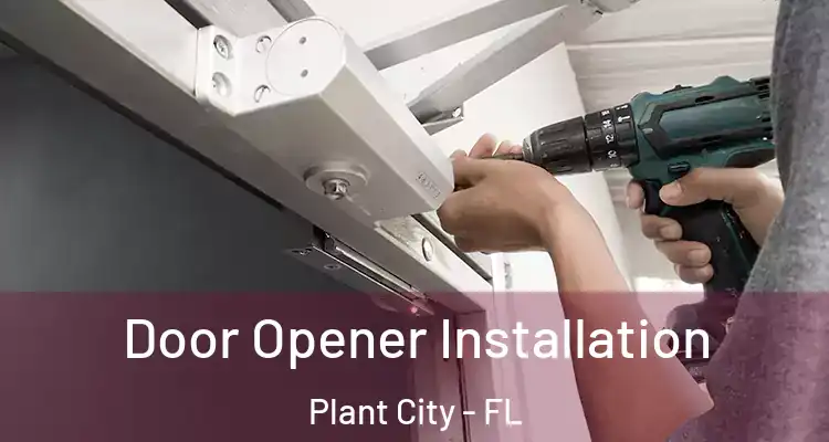  Door Opener Installation Plant City - FL