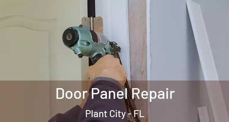  Door Panel Repair Plant City - FL