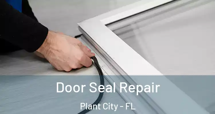  Door Seal Repair Plant City - FL