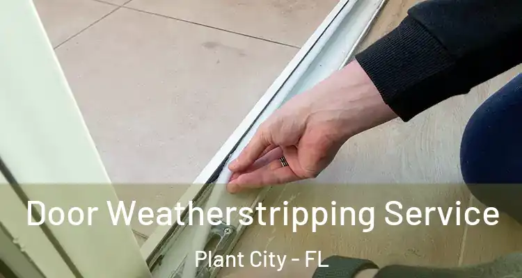  Door Weatherstripping Service Plant City - FL