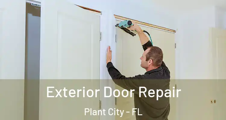  Exterior Door Repair Plant City - FL