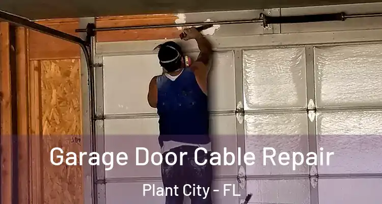  Garage Door Cable Repair Plant City - FL