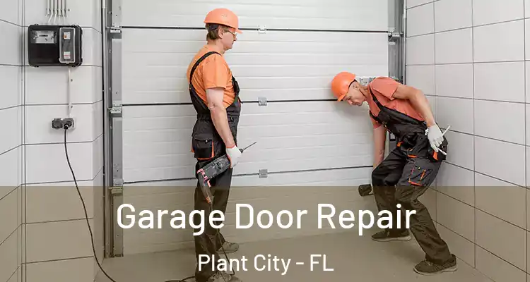  Garage Door Repair Plant City - FL
