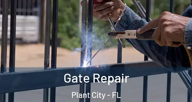  Gate Repair Plant City - FL