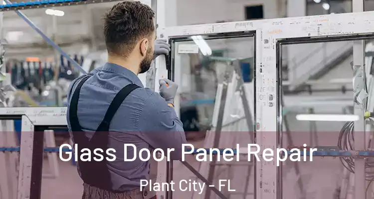  Glass Door Panel Repair Plant City - FL
