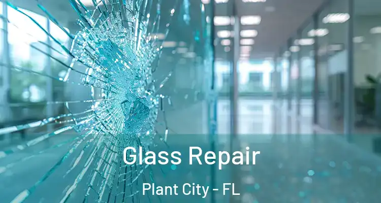  Glass Repair Plant City - FL