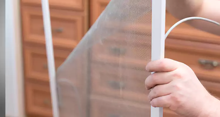 Privacy Mesh Screen Door Installation in Plant City, FL