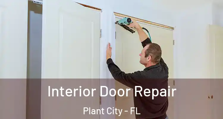  Interior Door Repair Plant City - FL