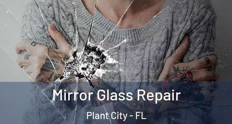 Mirror Glass Repair Plant City - FL