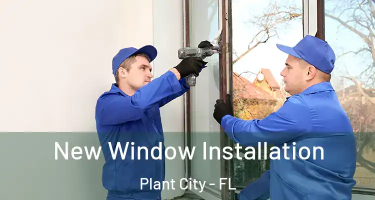  New Window Installation Plant City - FL