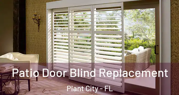  Patio Door Blind Replacement Plant City - FL