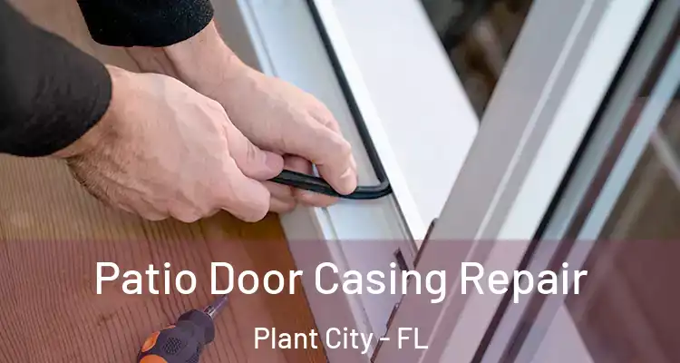  Patio Door Casing Repair Plant City - FL