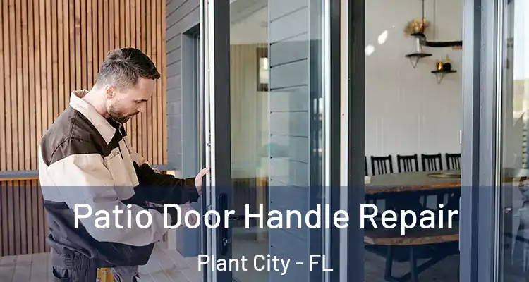  Patio Door Handle Repair Plant City - FL