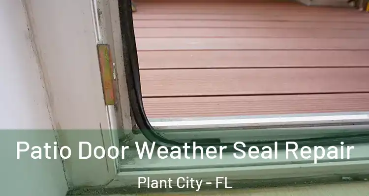  Patio Door Weather Seal Repair Plant City - FL