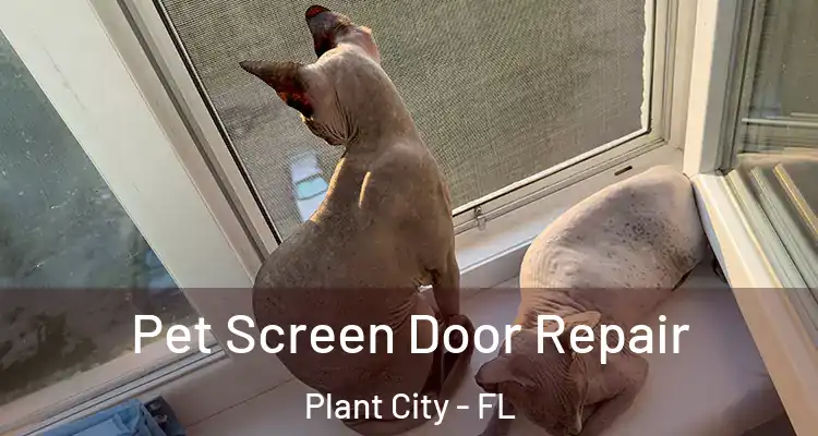  Pet Screen Door Repair Plant City - FL