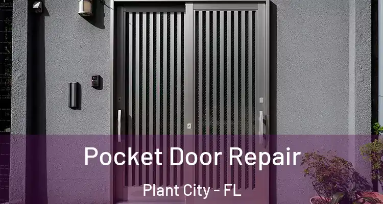  Pocket Door Repair Plant City - FL