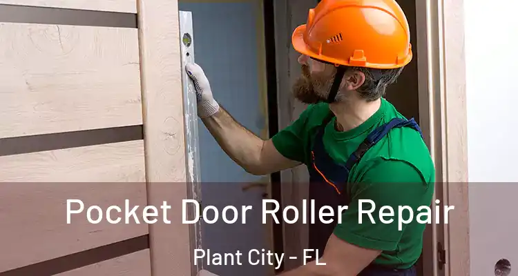  Pocket Door Roller Repair Plant City - FL