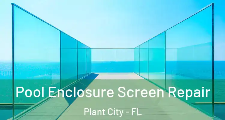  Pool Enclosure Screen Repair Plant City - FL