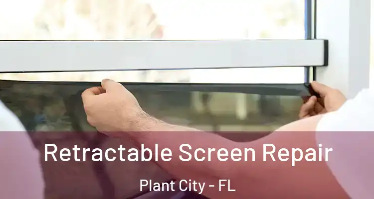  Retractable Screen Repair Plant City - FL