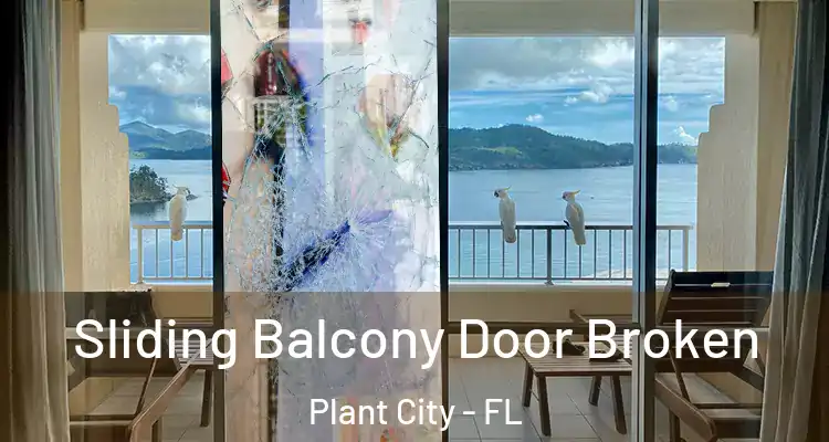  Sliding Balcony Door Broken Plant City - FL
