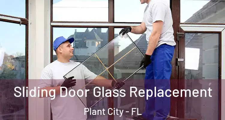  Sliding Door Glass Replacement Plant City - FL