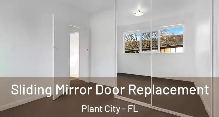  Sliding Mirror Door Replacement Plant City - FL