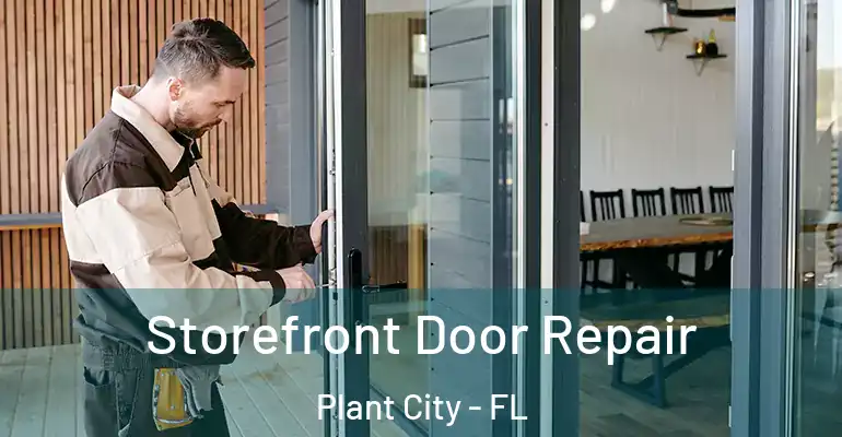  Storefront Door Repair Plant City - FL