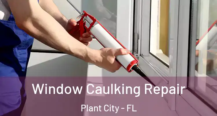  Window Caulking Repair Plant City - FL