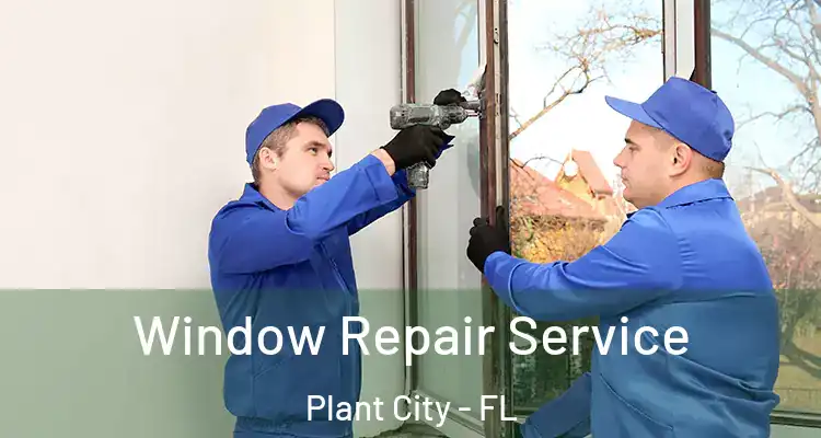  Window Repair Service Plant City - FL
